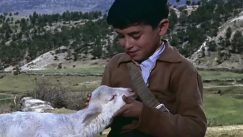 El ruiseñor de las cumbres