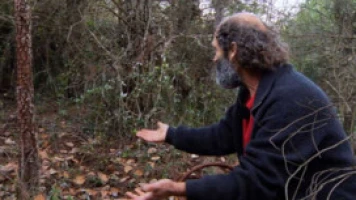 El señor de los bosques