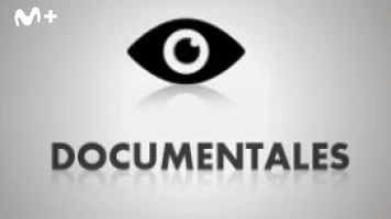 Ensayo sobre la mirada