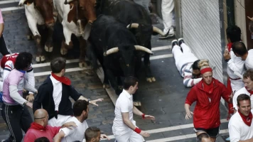Vive San Fermín