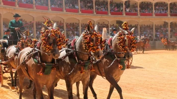 I Concurso Internacional de Enganches en Ronda