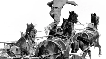 Hacia los grandes horizontes