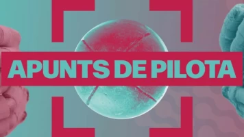 Apunts de Pilota