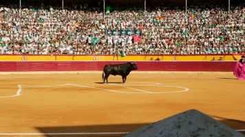 Feria Taurina de la Albahaca, Huesca 2025