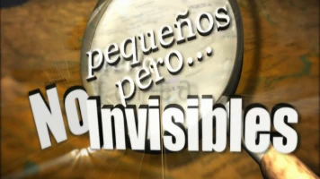 Pequeños, pero no invisibles