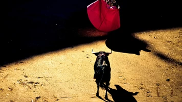 Festival Taurino con Picadores en Ricla