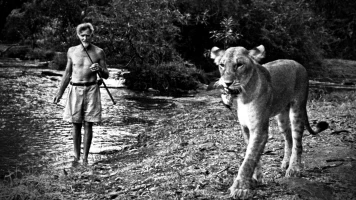 Elsa. La leona que cambió el mundo