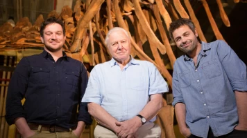 David Attenborough y el dinosaurio gigante