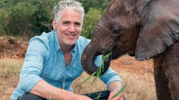 La familia elefante y yo