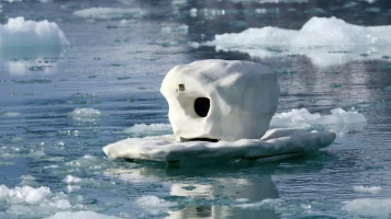 Un espía entre osos polares