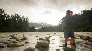 Viaje al río salvaje