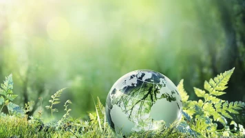 The Climate Question