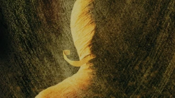 La sombra del faraón