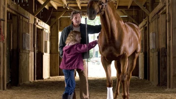 Camino a la victoria