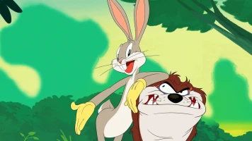 Looney Tunes Cartoons