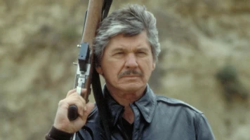 Yo soy la justicia II