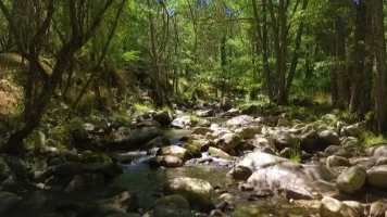 Parques naturales