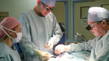 Desastres estéticos en el extranjero