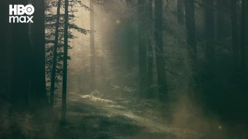 Este bosque está embrujado