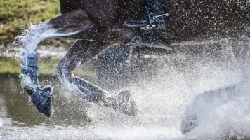 Europeo de salto ecuestre