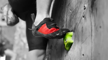 Mundial de escalada