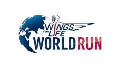 Wings for Life World Run. T(2024). Wings for Life... (2024): Resumen