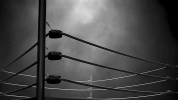 UFC Fight Night: Imavov vs. Borralho. T(2025). UFC Fight Night:... (2025): Velada completa
