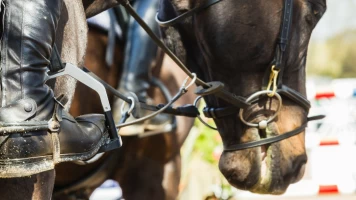 Asiático de equitación - Resumen