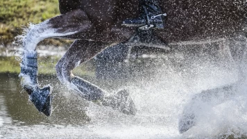 Resumen de la temporada ecuestre