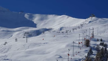 Fase de grupos. Fase de grupos: Estados Unidos - Italia