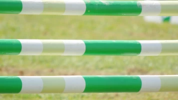 Royal Windsor Horse Show