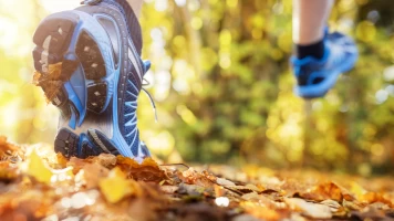 Golden Trail World Series - Resumen