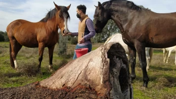Extremadura a caballo