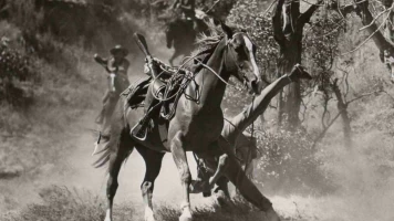 El desertor de El Álamo