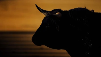 Toros ''Día de Extremadura'' desde Don Benito