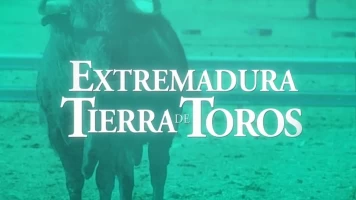 Tierra de toros