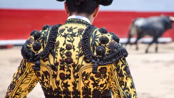 XIV Certamen de Novilladas de la Diputación de Badajoz - Toros desde herrera del duque