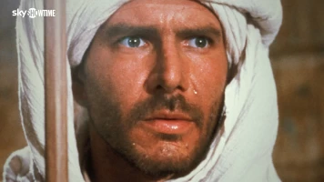Indiana Jones: en busca del arca perdida?
