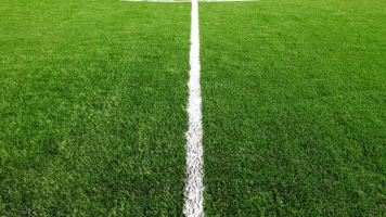 Copa del Rey. T(12/13). Copa del Rey (12/13)