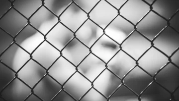 UFC 1: The Beginning