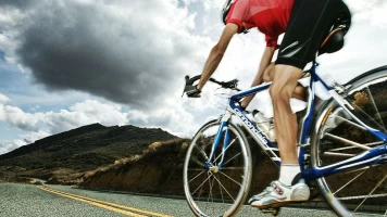 Mallorca 312