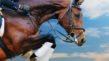 CSIO Barcelona