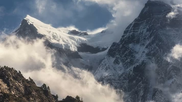 Mindful Earth