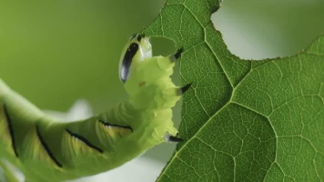Momentos magicos. El hechizo de la naturaleza