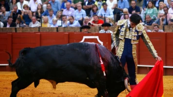 Tendido cero