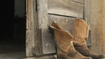 Mi vida entre las hormigas