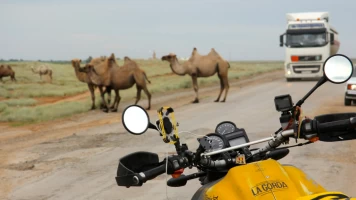 Diario de un nómada: La Ruta de la Seda