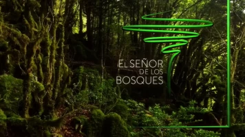 El señor de los bosques