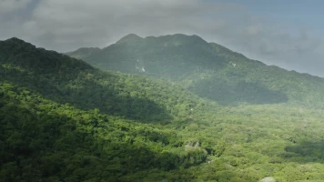 Tayrona