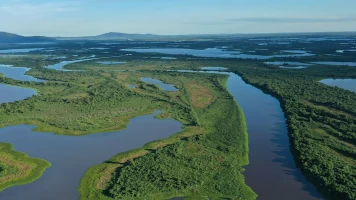 Pantanal. El milagro natural de brasil